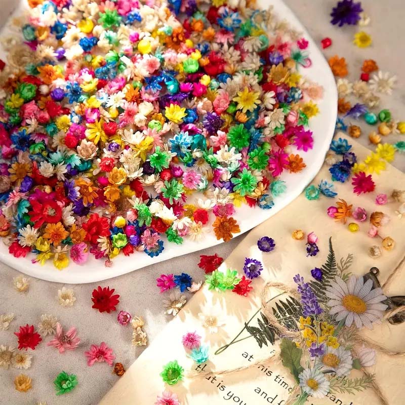 Gemengde kleurrijke bloem voor - Candle Supplies Bulk recensie en prijs