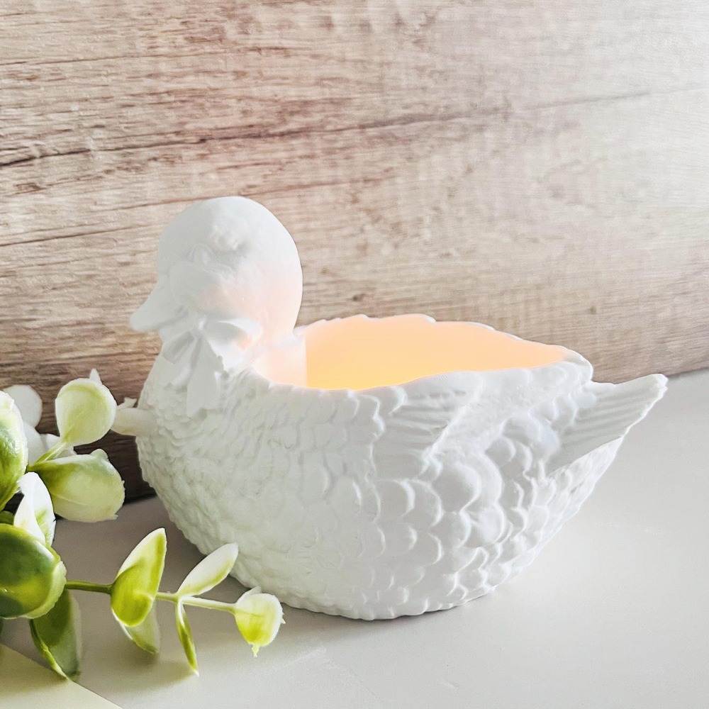 Mooie Gips Eend Opbergdoos Sil - Candle Making Supplies Jars recensie en prijs