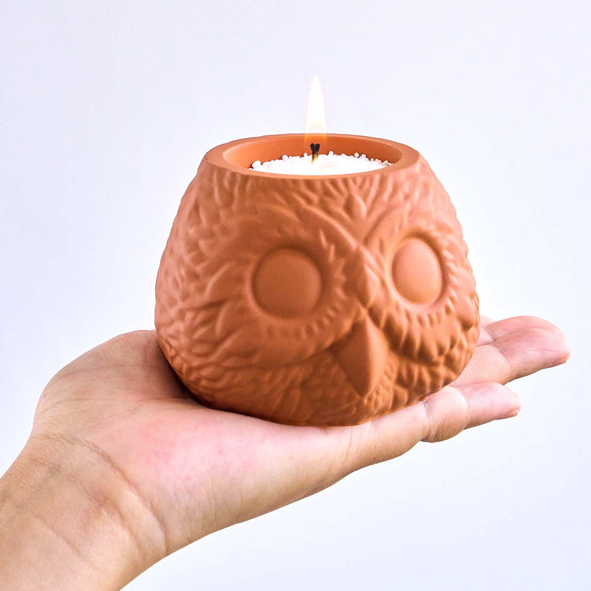 3D Uil Vorm Kaars Pot Silicone - Candle Making Supplies Jars recensie en prijs